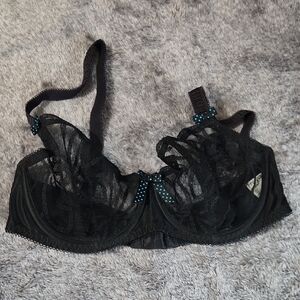 Freya Black Lace Underwire Bra with Blue Polka Dot Accents
